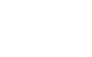 ALINA LEHNert Secretary Lehnert Leadership Group LLC 