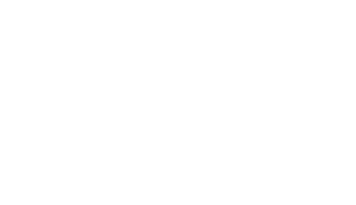 Louise Knauer Chair Springfield Sister Cities Association 