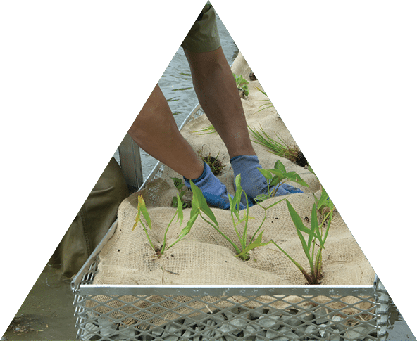 Up close photo of hands preparing a floating wetland
