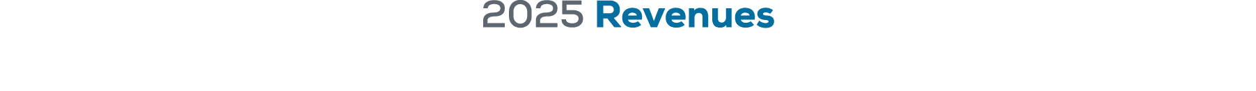 2025 Revenues